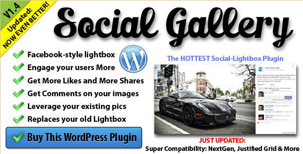 Social Gallery - WordPress Gallery View Plugin