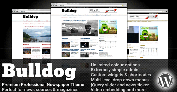Bulldog Premium Professional Newspaper Theme